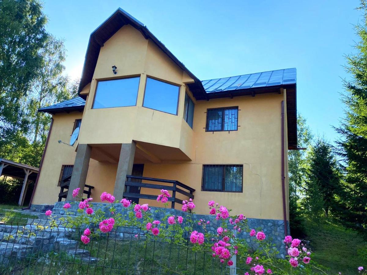 Villa Casa Ionel Si Dani Fundata Exterior foto