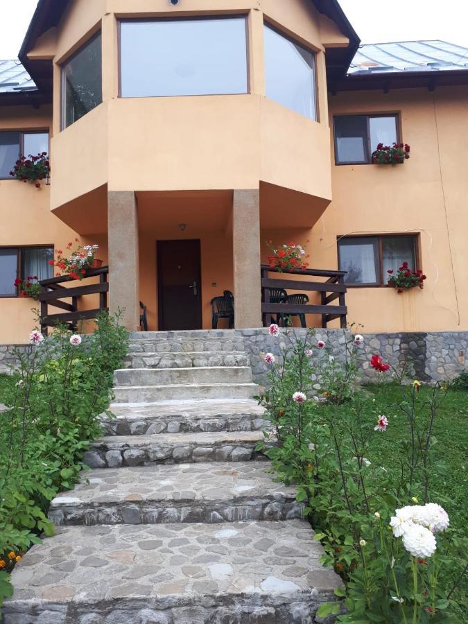 Villa Casa Ionel Si Dani Fundata Exterior foto