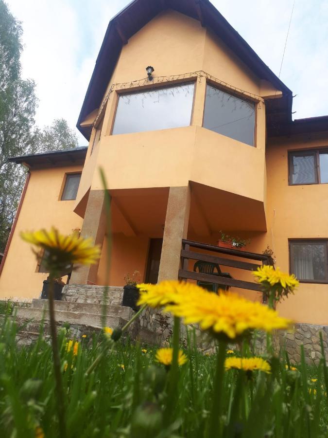 Villa Casa Ionel Si Dani Fundata Exterior foto
